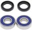 PIVOT WORKS WHEEL BEARING KIT PREMIUM BEARINGS