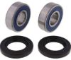 PIVOT WORKS WHEEL BEARING KIT PREMIUM BEARINGS