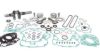 VERTEX COMPLETE ENGINE REBUILD KIT