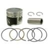 NAMURA PISTON KITS