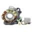 RMSTATOR HIGH OUTPUT STATOR 200 W + REGULATOR