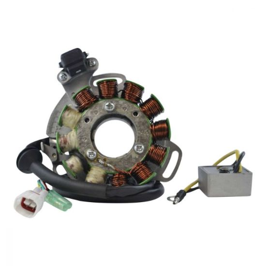 RMSTATOR HIGH OUTPUT PERFORMANCE STATOR 200 W + AC REGULATOR