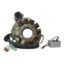RMSTATOR HIGH OUTPUT PERFORMANCE STATOR 200 W + AC REGULATOR