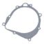 RMSTATOR STATOR CRANKCASE COVER GASKET