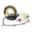 RMSTATOR HO STATOR + GASKET