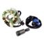 RMSTATOR KIT STATOR 100 W + EXT IGN COIL + BACKPLATE + PULLER