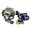 RMSTATOR KIT STATOR 200 W + REG REC + IGN COIL + PULLER