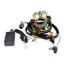 RMSTATOR KIT STATOR + HP CDI BOX