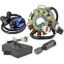 RMSTATOR KIT STATOR 100W +HP CDI +EXT IGN COIL + PULLER