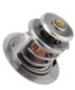 RMSTATOR THERMOSTAT