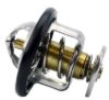 RMSTATOR THERMOSTAT
