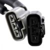 RMSTATOR CONVERSION HARNESS