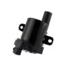 RMSTATOR EXT IGN COIL 2 PACK