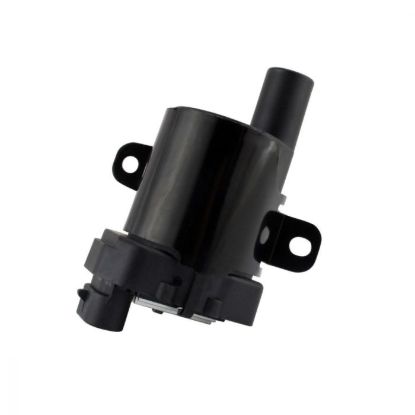 RMSTATOR EXT IGN COIL 2 PACK