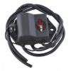 RMSTATOR KIT STATOR + CDI BOX FOR POLARIS