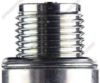 NGK 703 BU8H SPARK PLUG SHOP PACK (SHOP PACK OF 25)