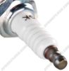 NGK 703 BU8H SPARK PLUG SHOP PACK (SHOP PACK OF 25)