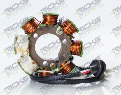 RICK'S ELECTRIC, HIGH OUTPUT STATOR