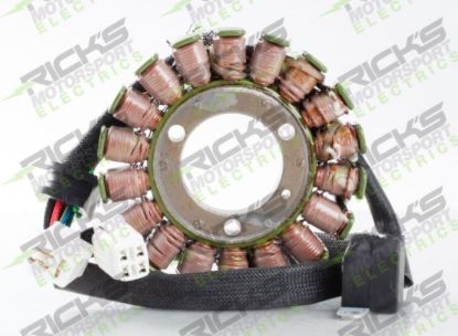RICK'S ELECTRIC, HIGH OUTPUT STATOR