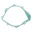 RICK'S ELECTRIC STATOR GASKET
