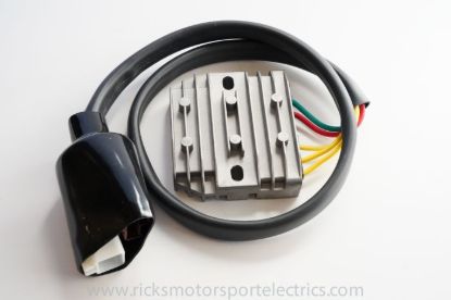 RICK'S ELECTRIC RECTIFIER-REGULATOR