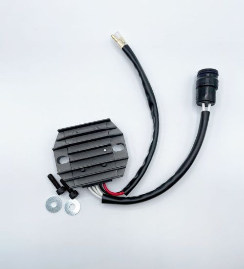 RICK'S ELECTRIC RECTIFIER-REGULATOR