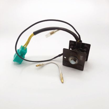 RICK'S ELECTRIC RECTIFIER-REGULATOR