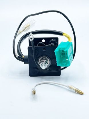 RICK'S ELECTRIC RECTIFIER-REGULATOR