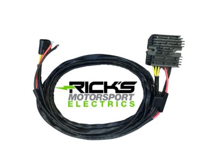 RICK'S ELECTRIC RECTIFIER-REGULATOR