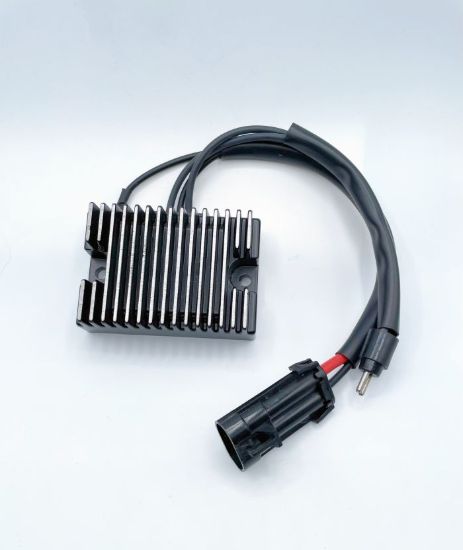 RICK'S ELECTRIC RECTIFIER-REGULATOR