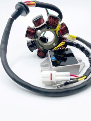 RICK'S ELECTRIC CHARGING KIT