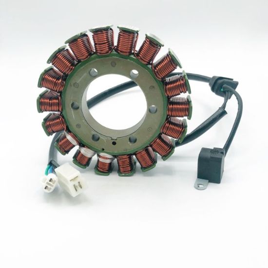 RICK'S ELECTRIC NEW STATOR