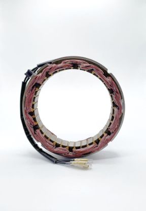 RICK'S ELECTRIC NEW STATOR