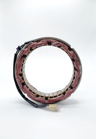 RICK'S ELECTRIC NEW STATOR