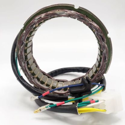 RICK'S ELECTRIC NEW STATOR