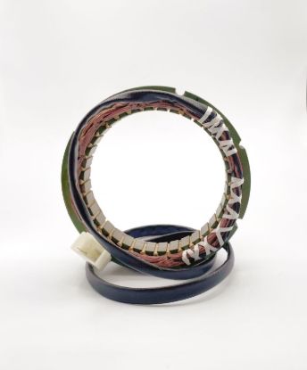 RICK'S ELECTRIC NEW STATOR