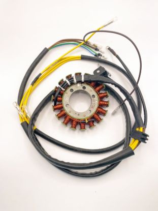 RICK'S ELECTRIC NEW STATOR