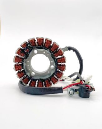 RICK'S ELECTRIC NEW STATOR