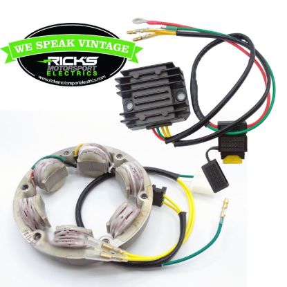 RICK'S ELECTRIC CHARGING KIT