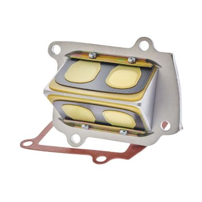 BOYESEN RAD VALVES