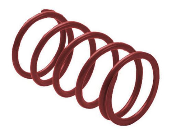 EPI CLUTCH SPRING MAROON