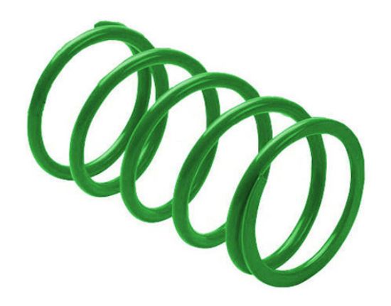 EPI CLUTCH SPRING GREEN