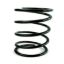 CLUTCH SPRING
