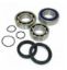 EPI CHAINCASE BEARING & SEAL KIT