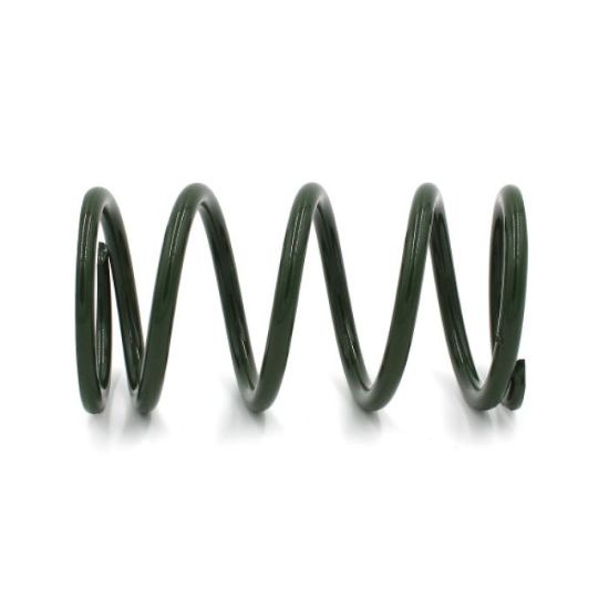 EPI SECONDARY CLUTCH SPRING - GREEN
