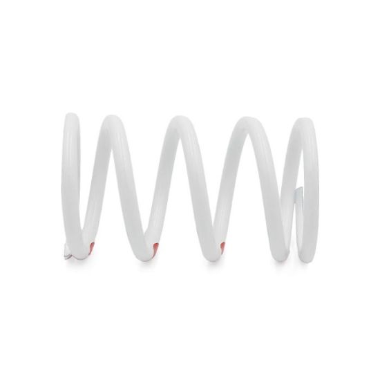 EPI PRIMARY CLUTCH SPRING - WHITE/RED