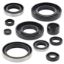 VERTEX ENGINE OIL SEAL KIT