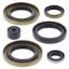 VERTEX ENGINE OIL SEAL KIT