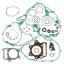 VERTEX COMPLETE GASKET KIT WITHOIL SEALS