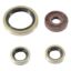 VERTEX ENGINE OIL SEAL KIT